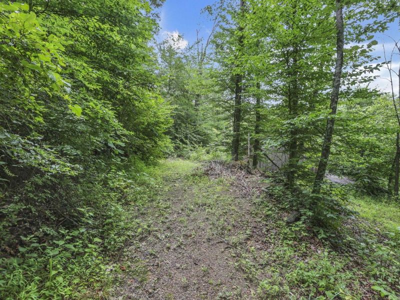 0 Greens Run Road, Glouster, OH 45732 Photo 116