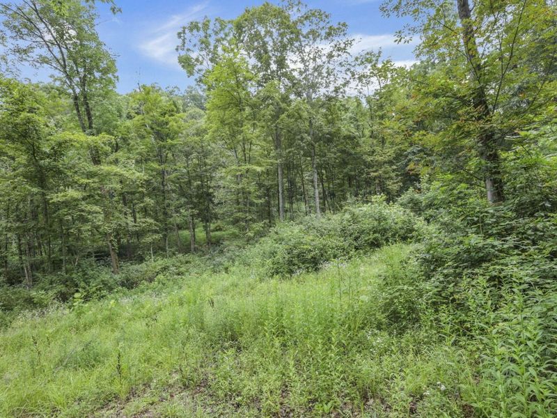 0 Greens Run Road, Glouster, OH 45732 Photo 117