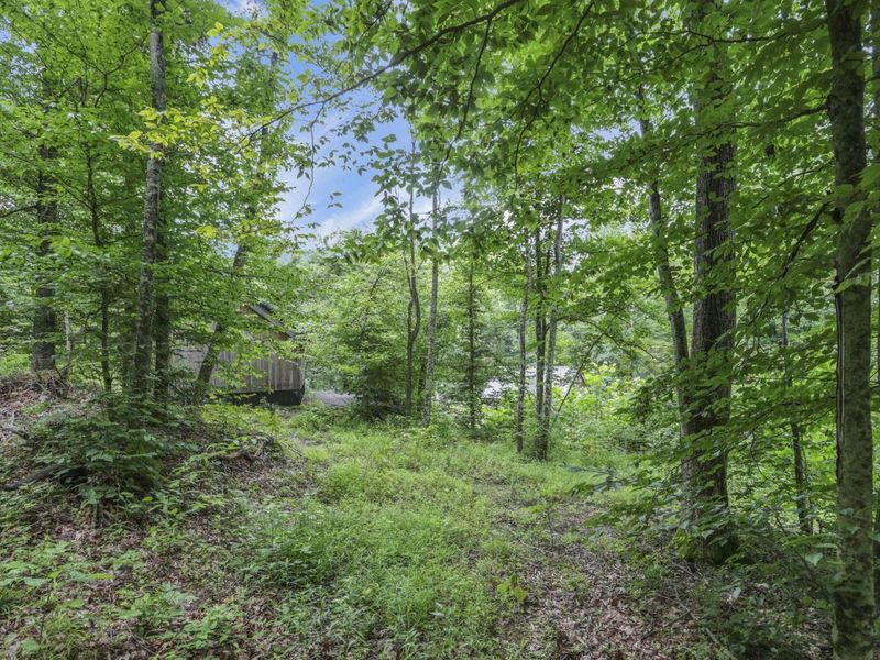 0 Greens Run Road, Glouster, OH 45732 Photo 118