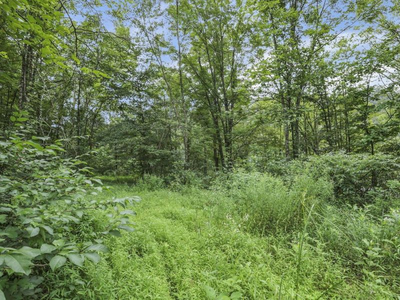 0 Greens Run Road, Glouster, OH 45732 Photo 119