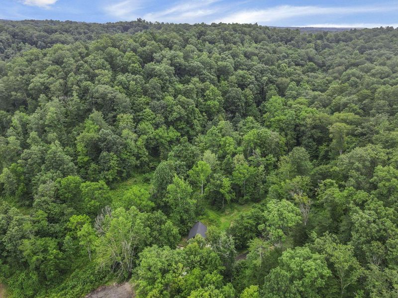 0 Greens Run Road, Glouster, OH 45732 Photo 68