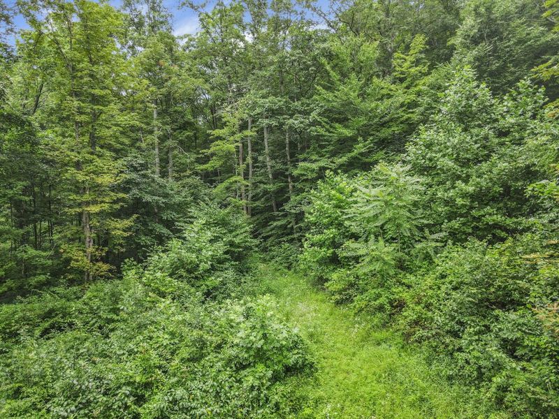 0 Greens Run Road, Glouster, OH 45732 Photo 78