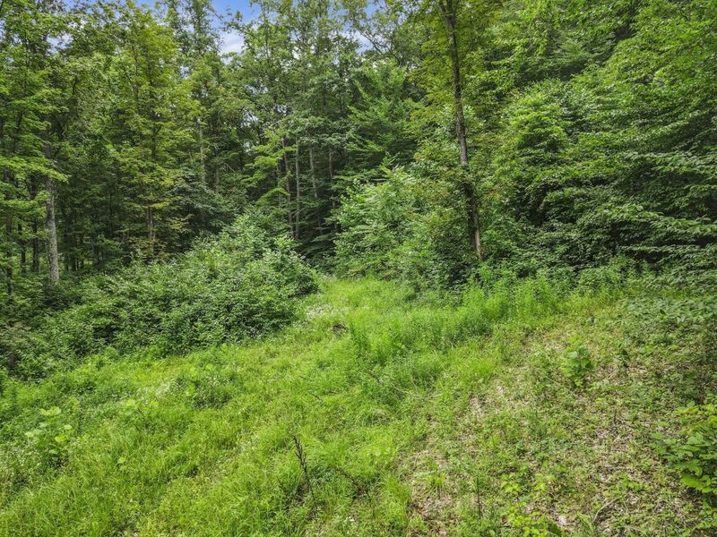 0 Greens Run Road, Glouster, OH 45732 Photo 80