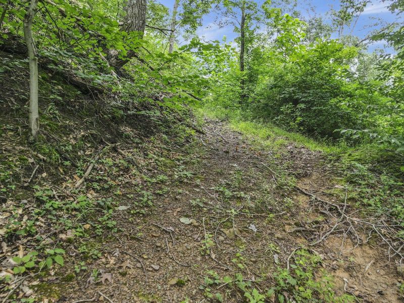 0 Greens Run Road, Glouster, OH 45732 Photo 81