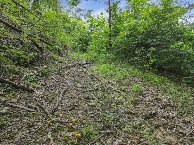 0 Greens Run Road, Glouster, OH 45732 Photo 82