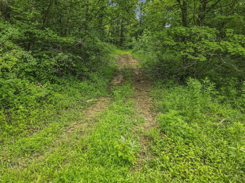 0 Greens Run Road, Glouster, OH 45732 Photo 88