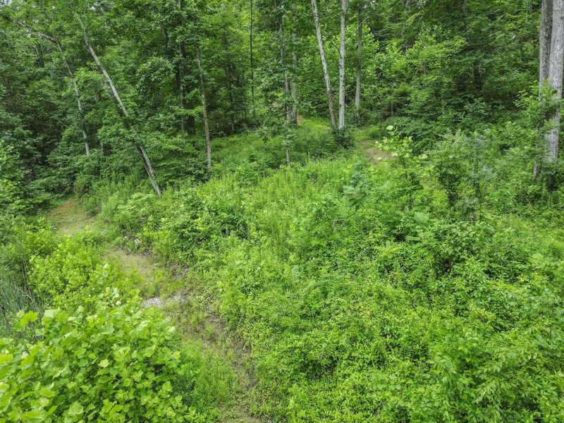 0 Greens Run Road, Glouster, OH 45732 Photo 94