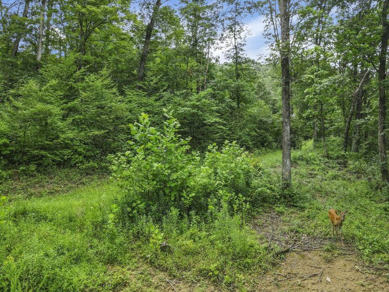 0 Greens Run Road, Glouster, OH 45732 Photo 95