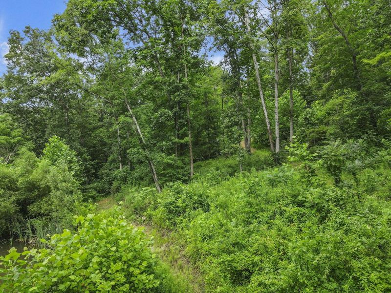 0 Greens Run Road, Glouster, OH 45732 Photo 96