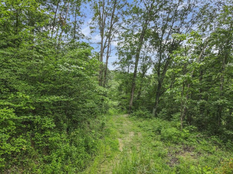 0 Greens Run Road, Glouster, OH 45732 Photo 97