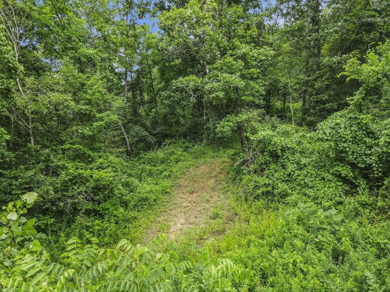 0 Greens Run Road, Glouster, OH 45732 Photo 99