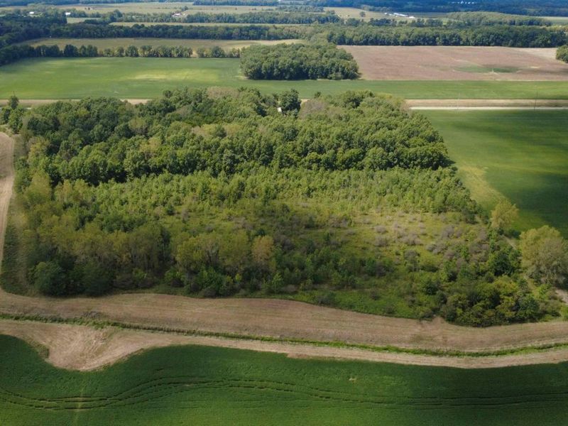 00 Osbun Road, Unit Lot # 6, Morral, OH 43337 Photo 2