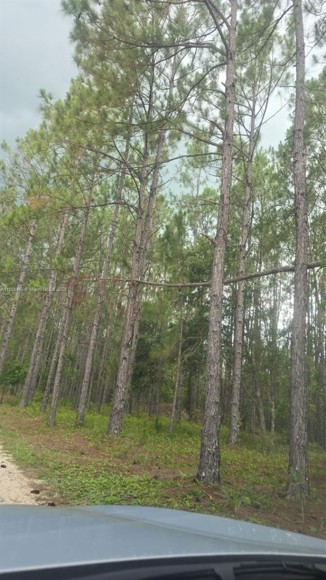 Please Call For Address, Lakeland, FL 33868 Photo