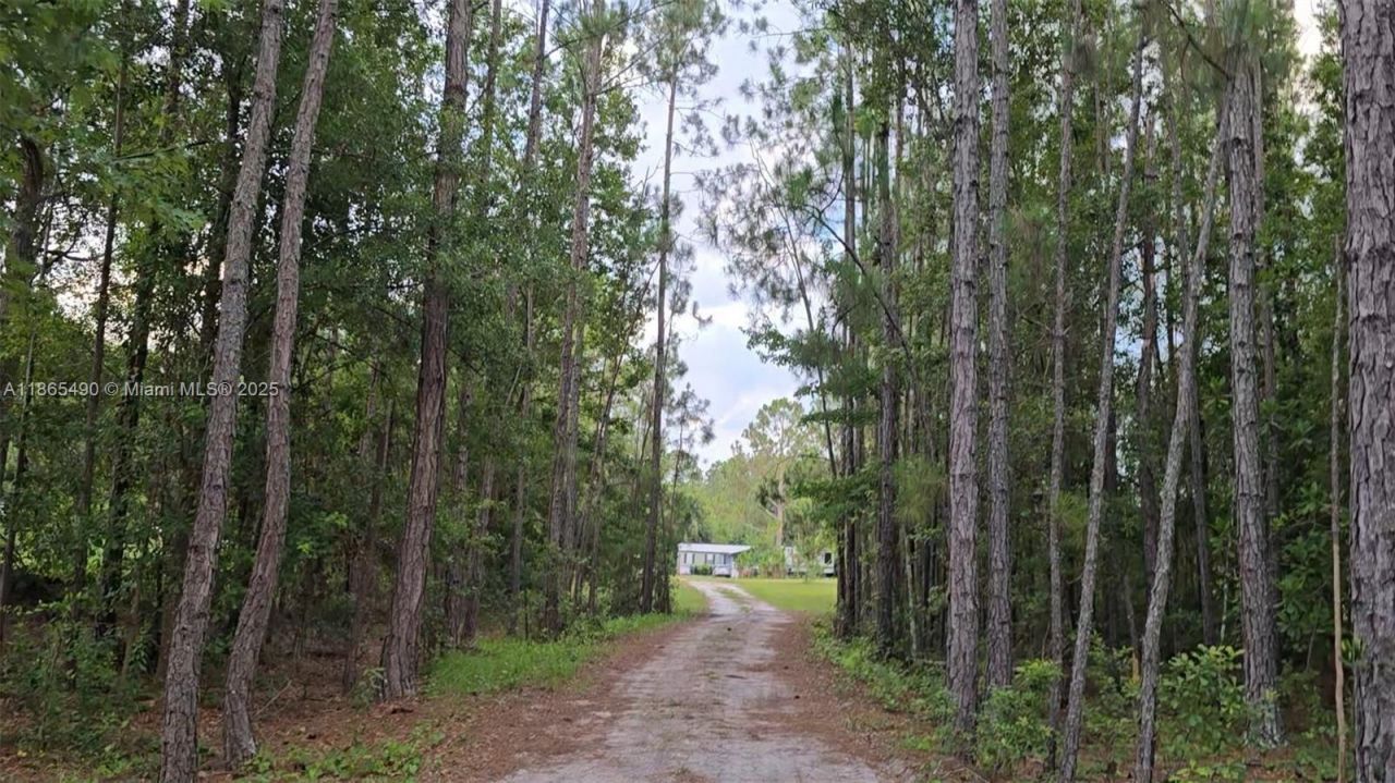 Please Call For Address, Lakeland, FL 33868 Photo