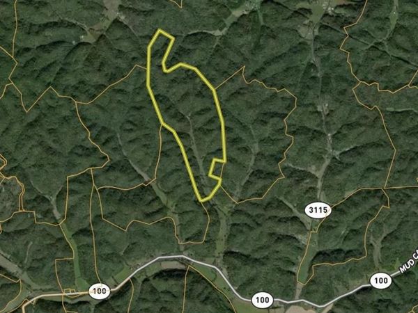 Black Branch Road, Burkesville, KY 42717