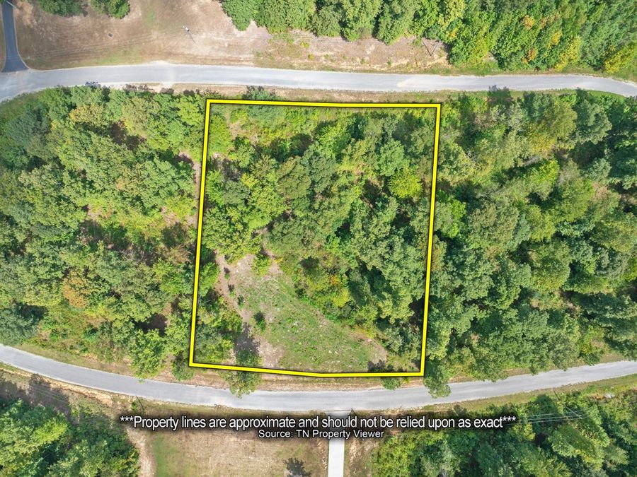 Property Image 4