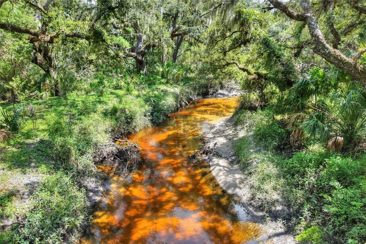 6838 Mary Lou Drive, Riverview, FL 33578 Photo