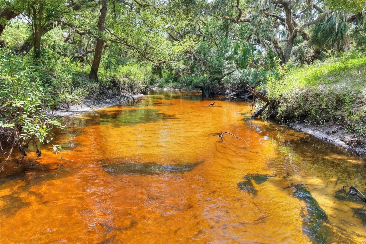 6838 Mary Lou Drive, Riverview, FL 33578 Photo