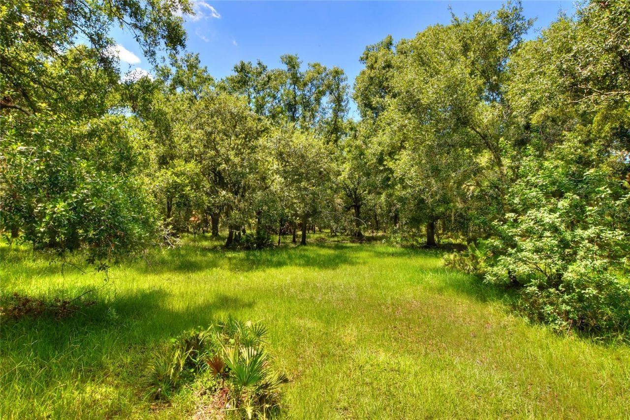 6838 Mary Lou Drive, Riverview, FL 33578 Photo