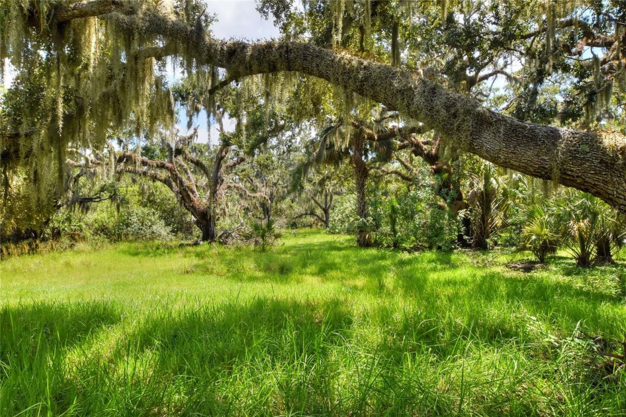 6838 Mary Lou Drive, Riverview, FL 33578 Photo