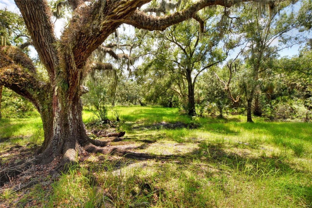 6838 Mary Lou Drive, Riverview, FL 33578 Photo