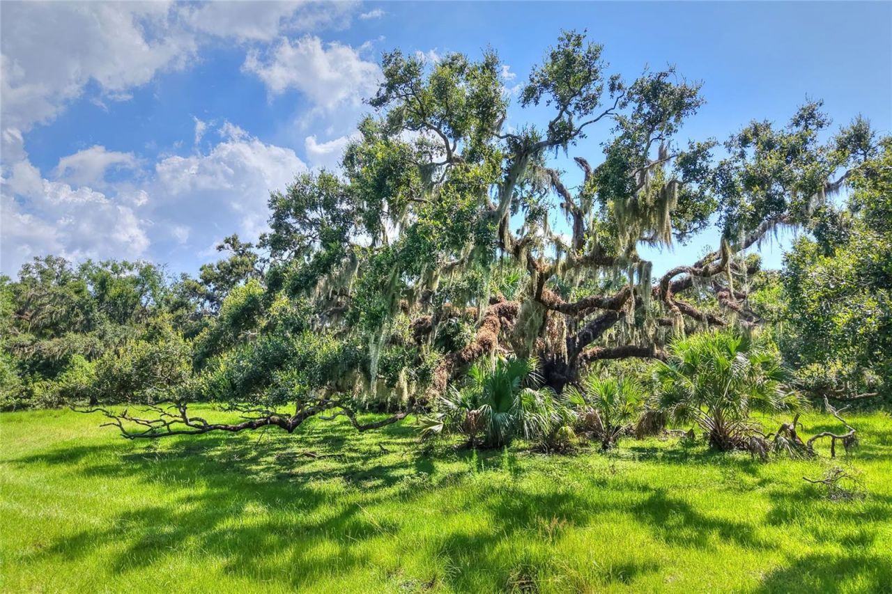 6838 Mary Lou Drive, Riverview, FL 33578 Photo