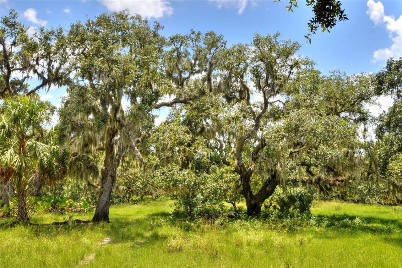 6838 Mary Lou Drive, Riverview, FL 33578 Photo