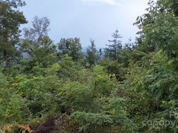 0 Brighton Drive, Bostic, NC 28018