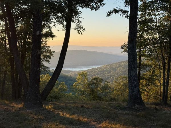 Lot 1070 Birds Eye Way, Guild, TN 37340