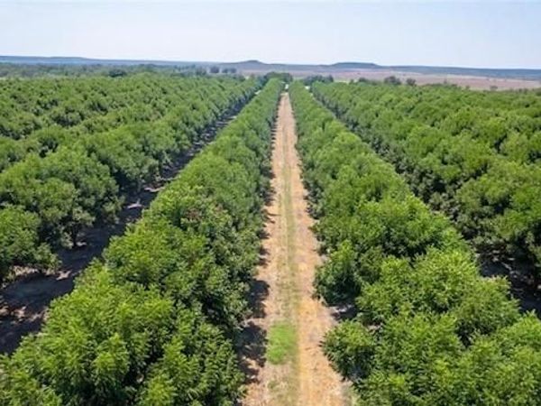 TBD County Road 216, San Saba, TX 76877