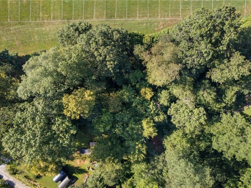Dalton-Fox Lake Road, Dalton, OH 44618 Photo 5