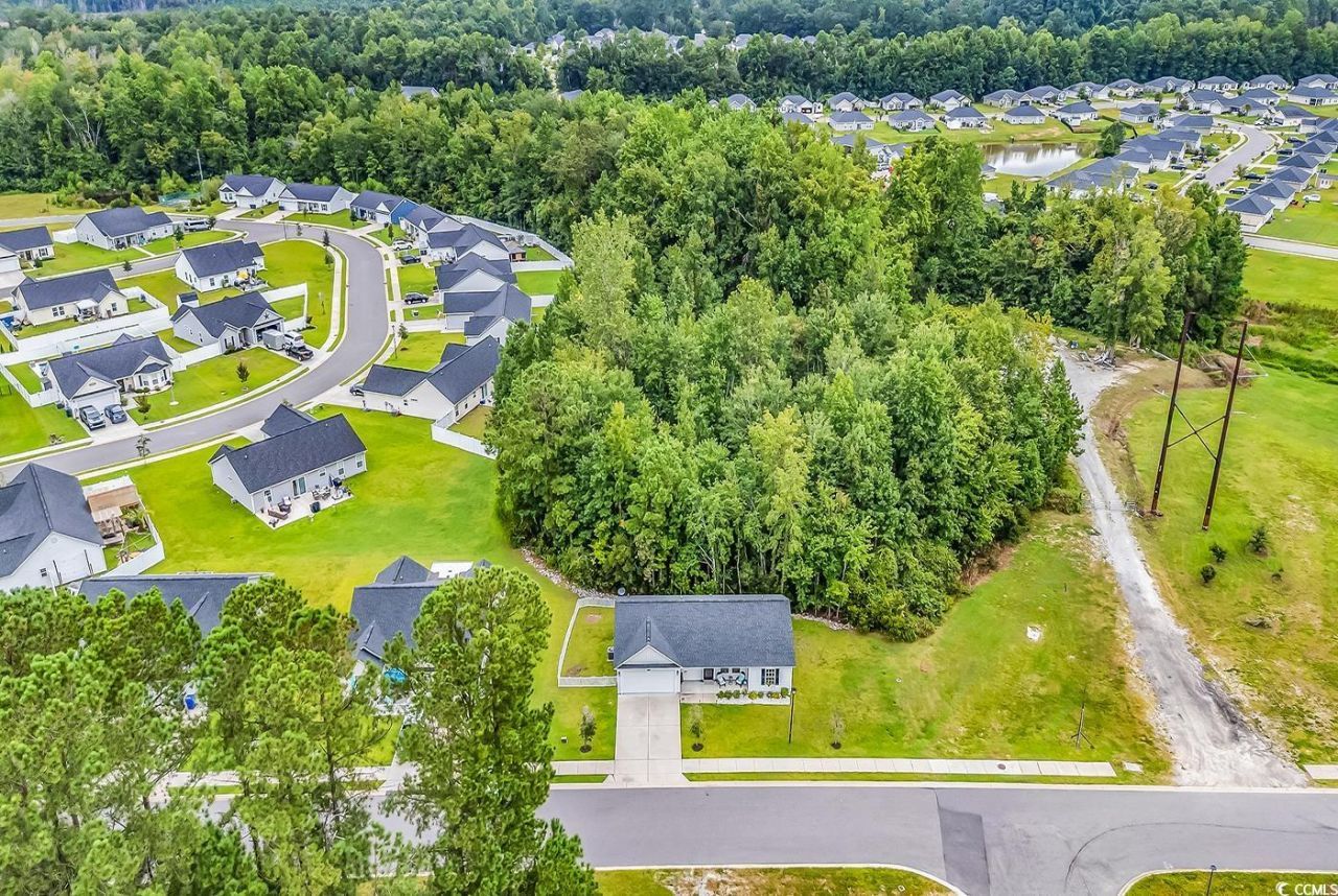 1517 Ackerrose Dr. Photo 28