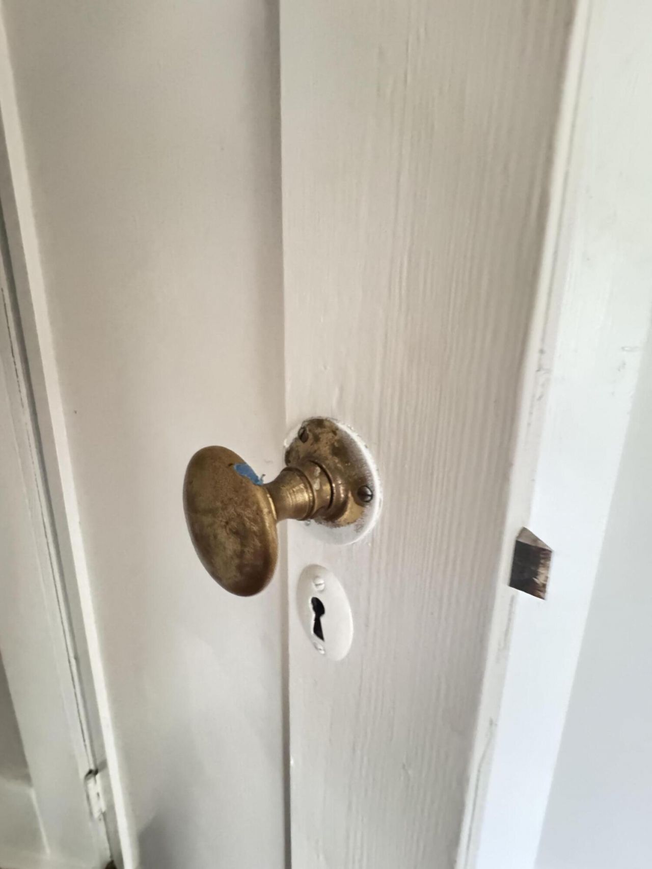 303 Warren Street Photo 131