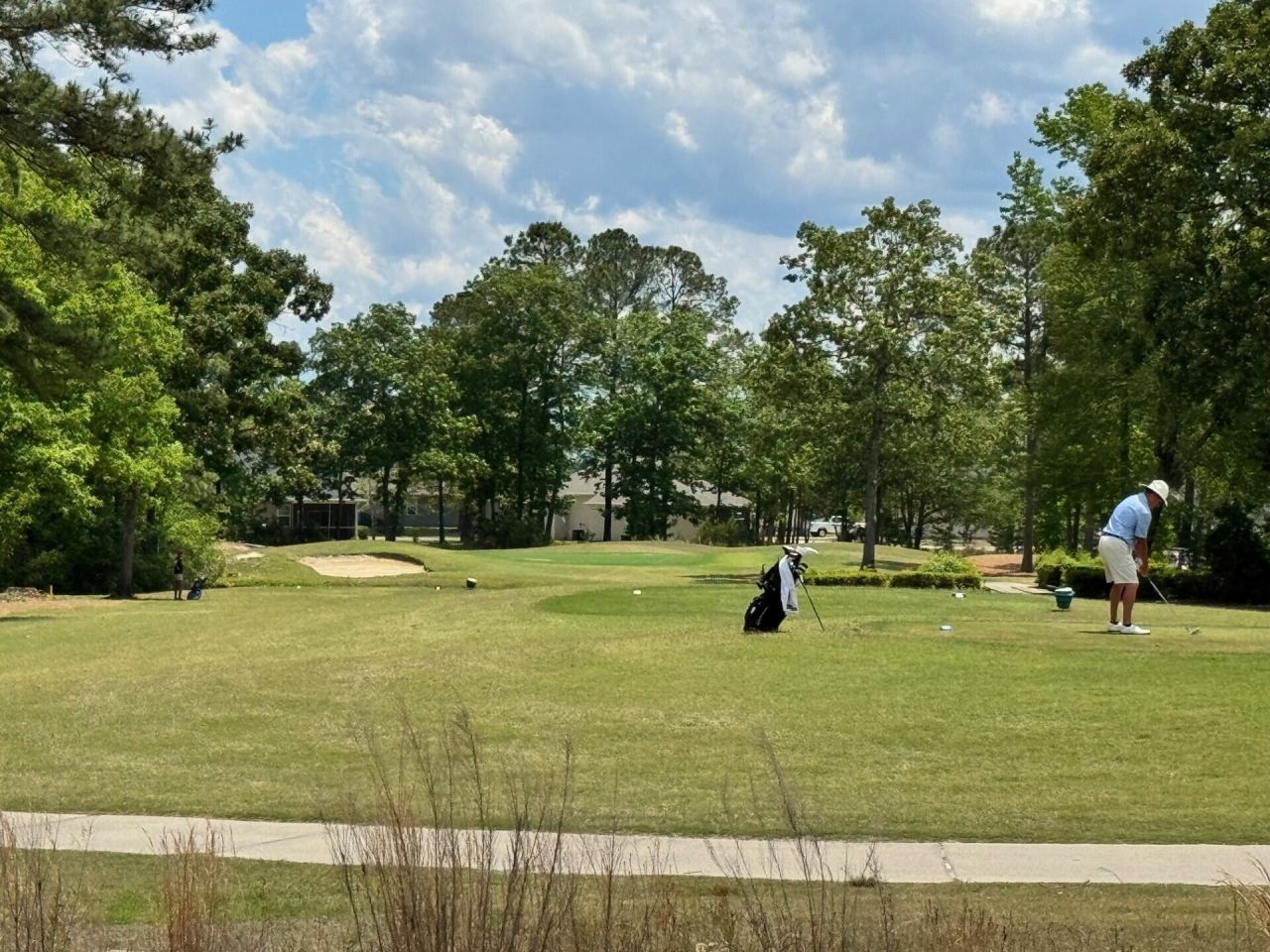 1015 Carolina Way Photo 28