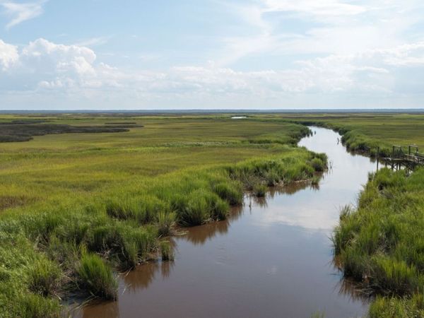 1924 Cedar Court, Waverly, GA 31565