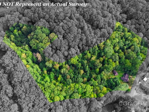 0000 Cabin Flats Road, Balsam, NC 28707