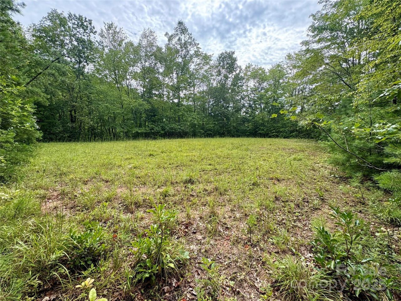 0 Chickadee Drive, Bryson City, NC 28713 Main Photo