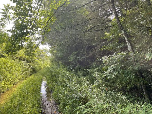 212 Granite Ln, Fairdale, WV 25839