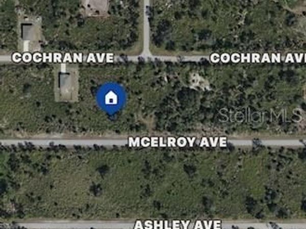 12110 MCELROY AVENUE, PORT CHARLOTTE, FL 33981