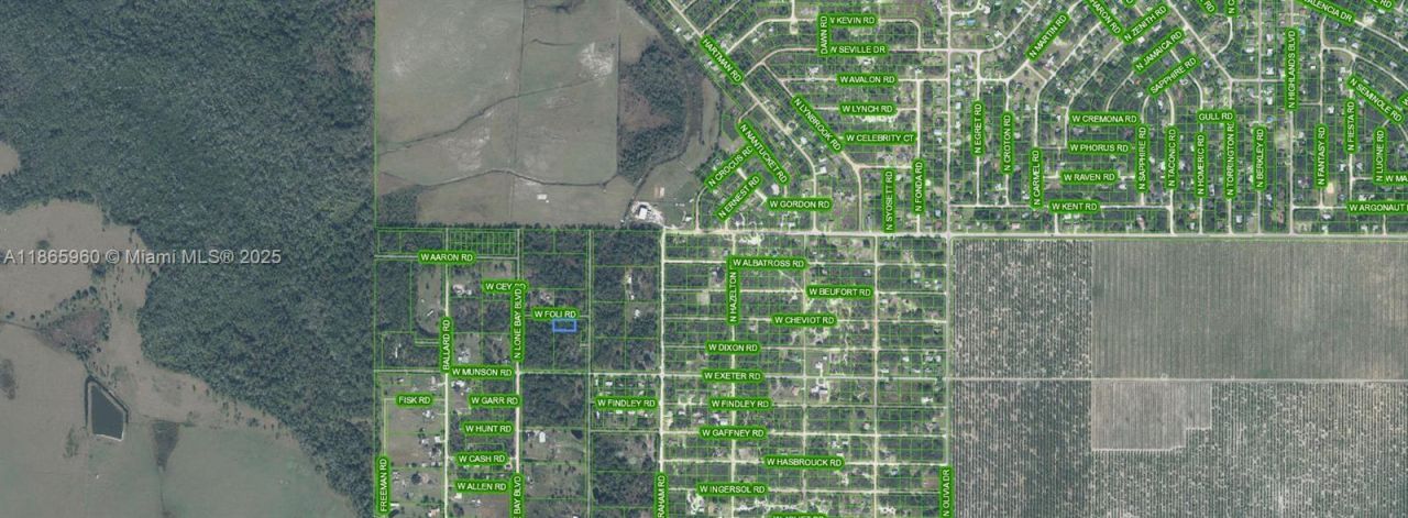 3175 W Foli Road, Avon Park, FL 33825 Photo