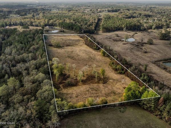 13.62 +/- Acres Jan's Road, Richton, MS 39476