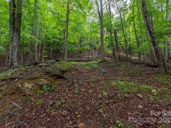 25 Hickory Springs Road, Burnsville, NC 28714