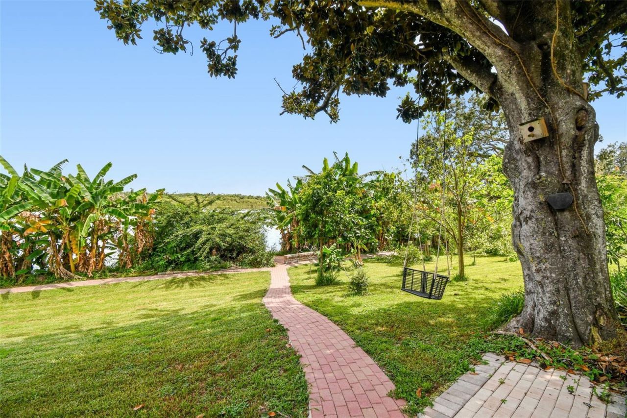 3203 E Yukon Street, Tampa, FL 33604 Photo