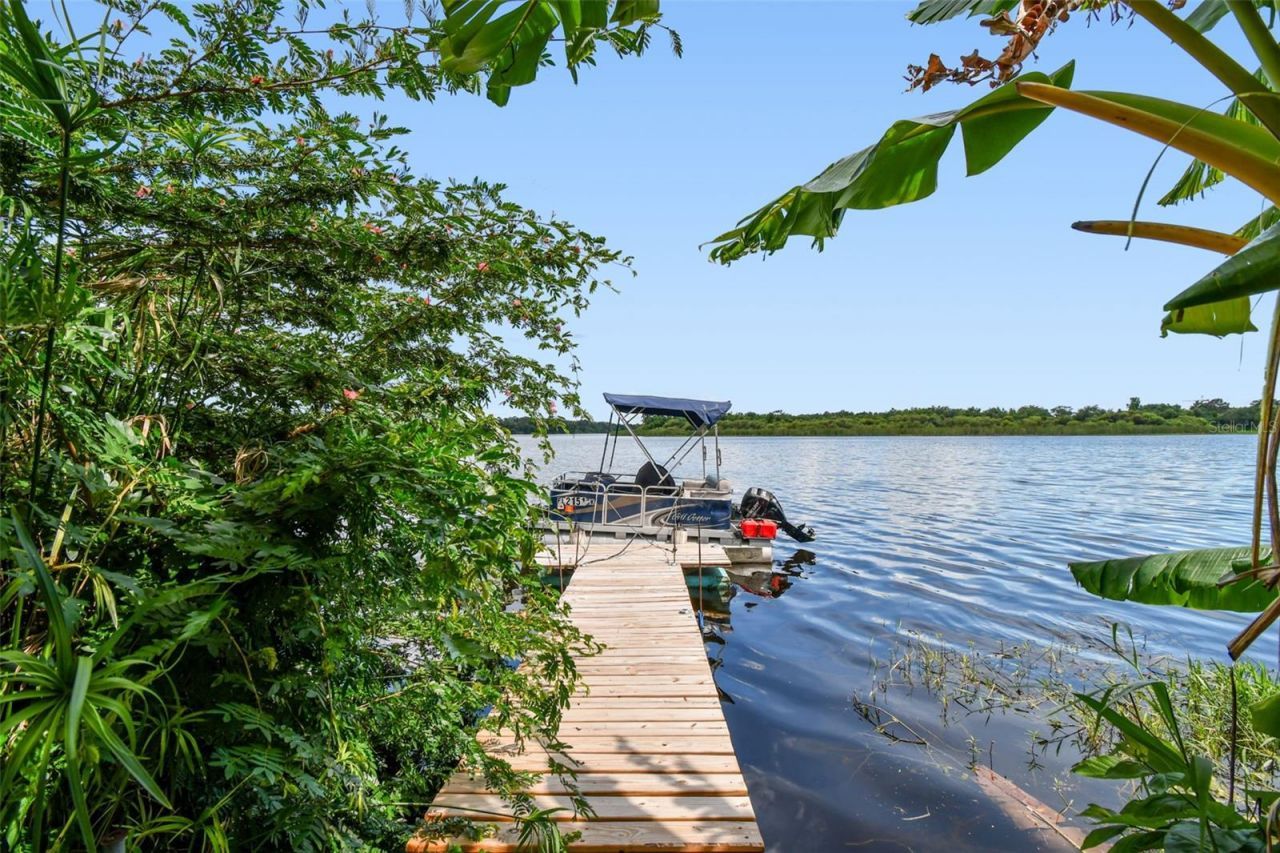 3203 E Yukon Street, Tampa, FL 33604 Photo