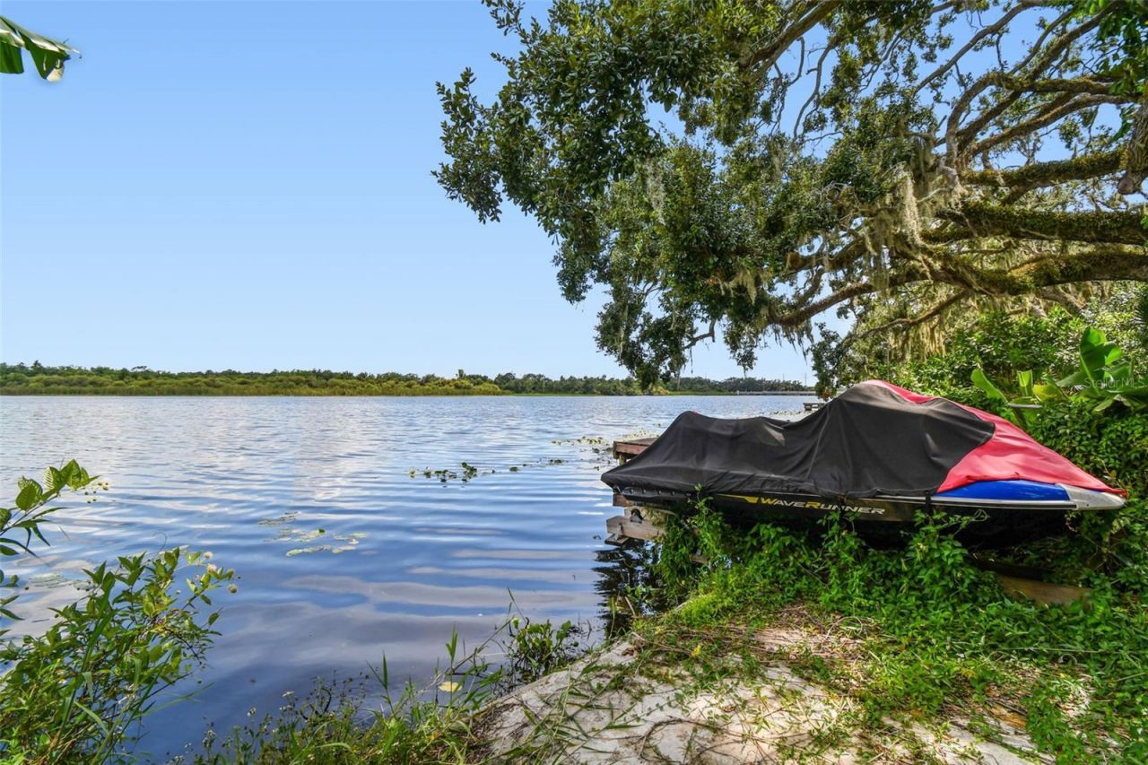 3203 E Yukon Street, Tampa, FL 33604 Photo