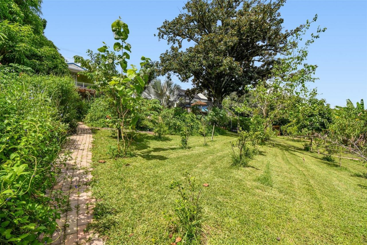 3203 E Yukon Street, Tampa, FL 33604 Photo