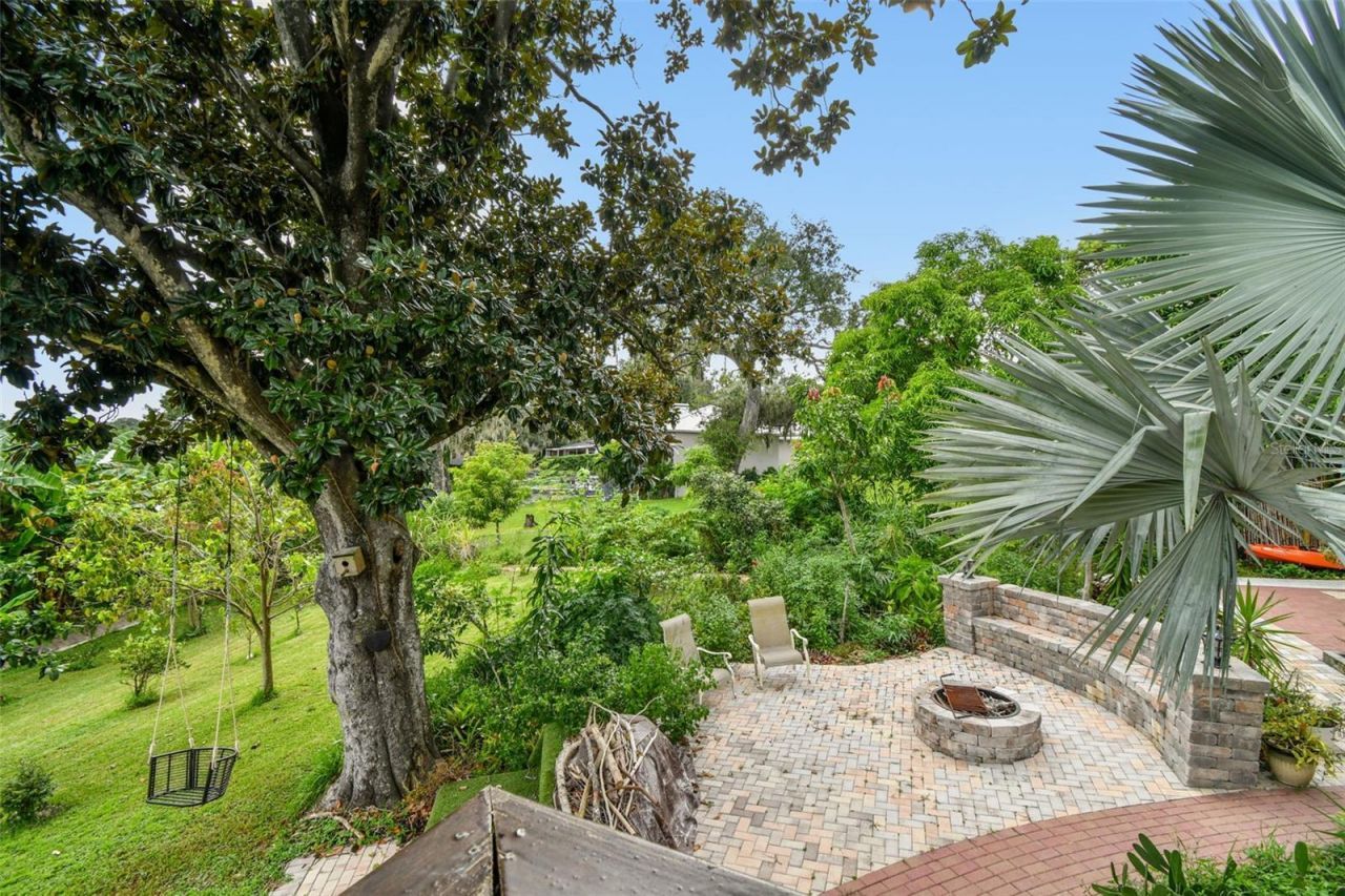 3203 E Yukon Street, Tampa, FL 33604 Photo