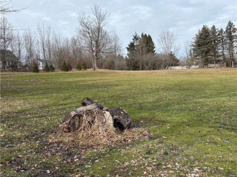 V/L State Street, Garrettsville, OH 44231 Photo 2