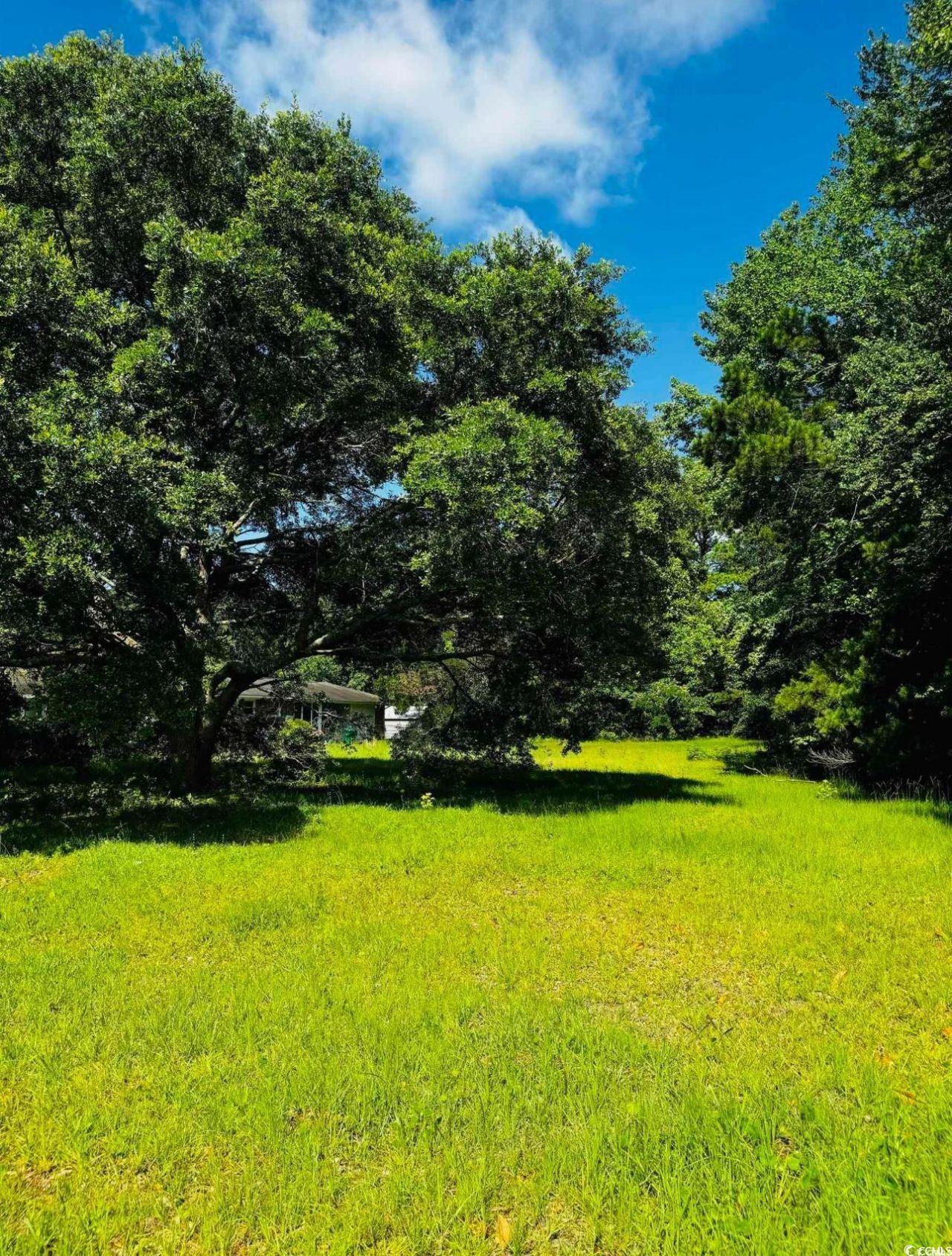 Tbd South Bay St. Photo 11