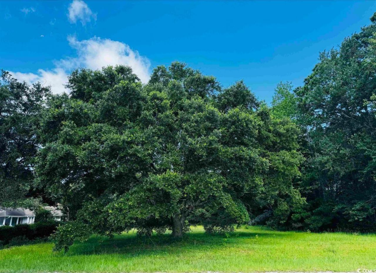 Tbd South Bay St. Photo 9